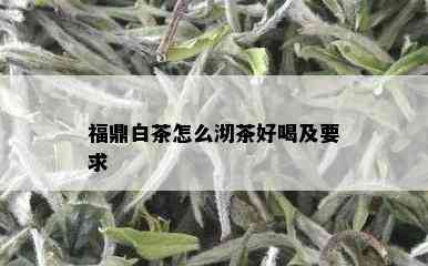 福鼎白茶怎么沏茶好喝及要求