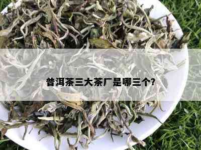 普洱茶三大茶厂是哪三个？