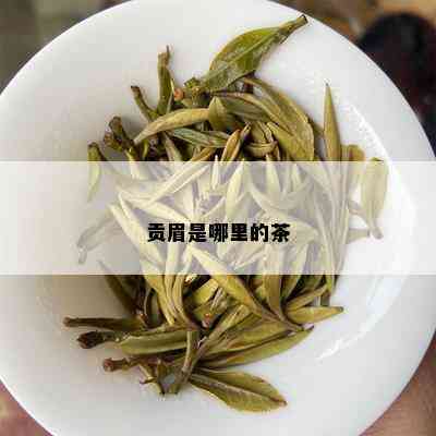 贡眉是哪里的茶