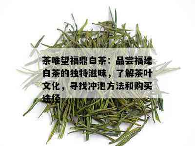 茶唯望福鼎白茶：品尝福建白茶的独特滋味，了解茶叶文化，寻找冲泡方法和购买途径