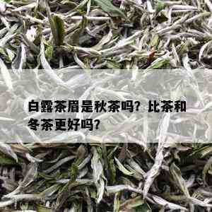 白露茶眉是秋茶吗？比茶和冬茶更好吗？