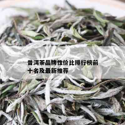 普洱茶品牌性价比排行榜前十名及最新推荐