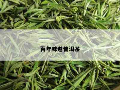 百年味道普洱茶