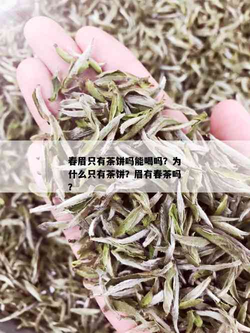 春眉只有茶饼吗能喝吗？为什么只有茶饼？眉有春茶吗？