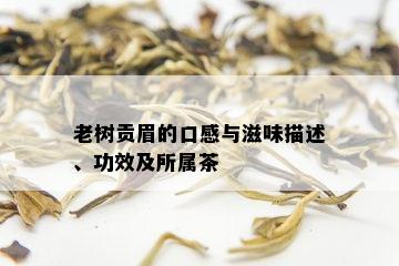 老树贡眉的口感与滋味描述、功效及所属茶