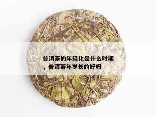 普洱茶的年轻化是什么时期，普洱茶年岁长的好吗