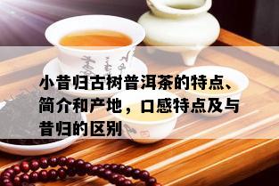 小昔归古树普洱茶的特点、简介和产地，口感特点及与昔归的区别