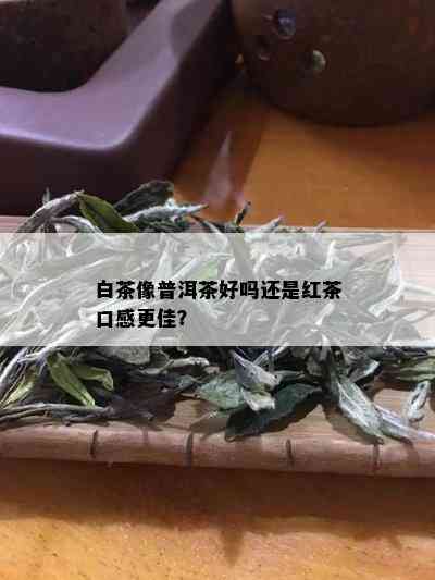 白茶像普洱茶好吗还是红茶口感更佳？