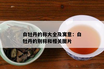 白牡丹的称大全及寓意：白牡丹的别称和相关图片