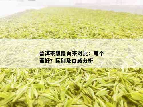 普洱茶跟眉白茶对比：哪个更好？区别及口感分析