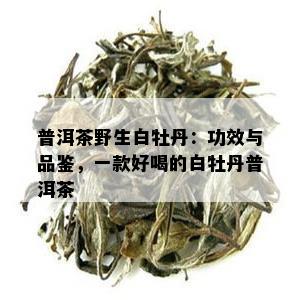 普洱茶野生白牡丹：功效与品鉴，一款好喝的白牡丹普洱茶