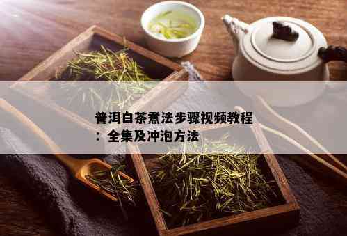 普洱白茶煮法步骤视频教程：全集及冲泡方法