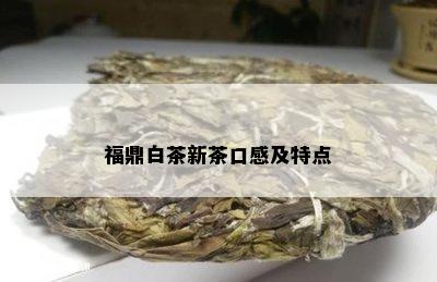 福鼎白茶新茶口感及特点