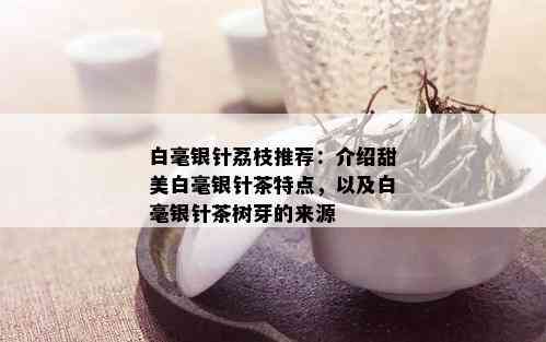 白毫银针荔枝推荐：介绍甜美白毫银针茶特点，以及白毫银针茶树芽的来源