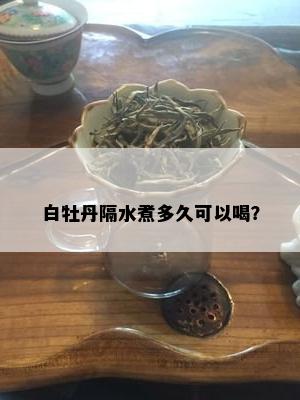 白牡丹隔水煮多久可以喝？