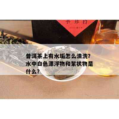 普洱茶上有水垢怎么清洗？水中白色漂浮物和絮状物是什么？