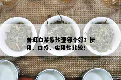 普洱白茶紫砂壶哪个好？使用、口感、实用性比较！