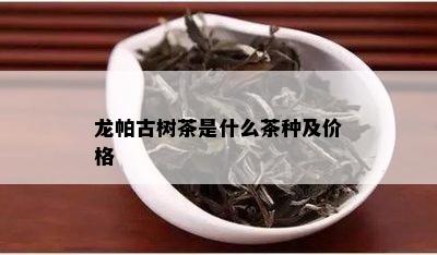 龙帕古树茶是什么茶种及价格