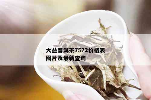 大益普洱茶7572价格表图片及最新查询