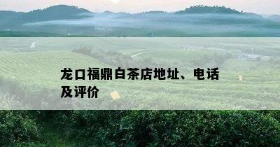 龙口福鼎白茶店地址、电话及评价