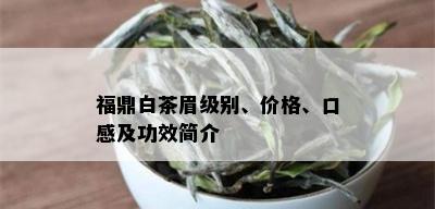 福鼎白茶眉级别、价格、口感及功效简介