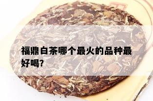 福鼎白茶哪个最火的品种更好喝？