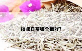 福鼎白茶哪个更好？