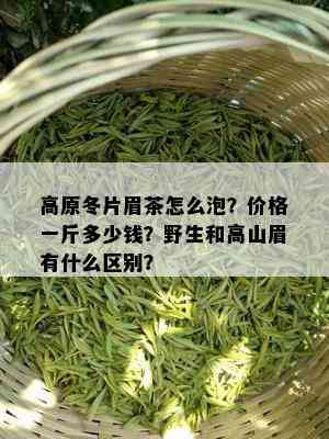 高原冬片眉茶怎么泡？价格一斤多少钱？野生和高山眉有什么区别？