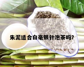 朱泥适合白毫银针泡茶吗？