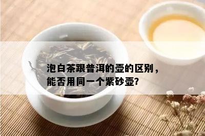 泡白茶跟普洱的壶的区别，能否用同一个紫砂壶？