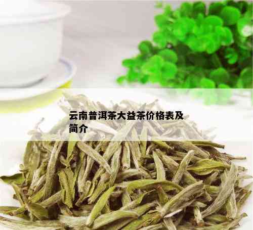 云南普洱茶大益茶价格表及简介