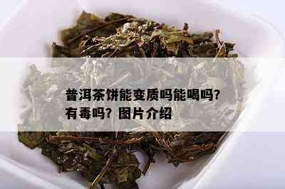 普洱茶饼能变质吗能喝吗？有吗？图片介绍