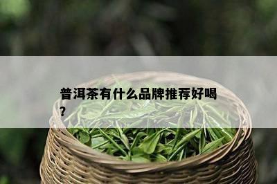 普洱茶有什么品牌推荐好喝？