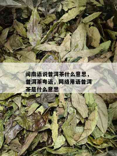 闽南语说普洱茶什么意思，普洱茶粤语，网络用语普洱茶是什么意思