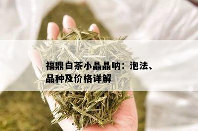 福鼎白茶小晶晶呐：泡法、品种及价格详解