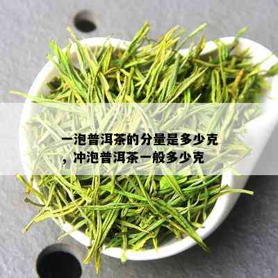 一泡普洱茶的分量是多少克，冲泡普洱茶一般多少克