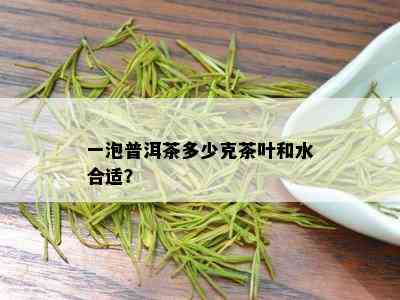 一泡普洱茶多少克茶叶和水合适？