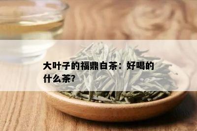 大叶子的福鼎白茶：好喝的什么茶？