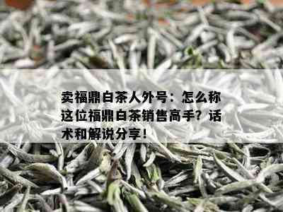 卖福鼎白茶人外号：怎么称这位福鼎白茶销售高手？话术和解说分享！