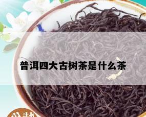 普洱四大古树茶是什么茶