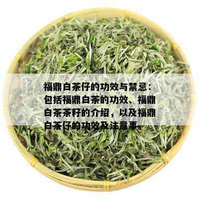 福鼎白茶仔的功效与禁忌：包括福鼎白茶的功效、福鼎白茶茶籽的介绍，以及福鼎白茶仔的功效及注意事。