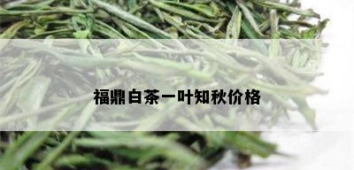 福鼎白茶一叶知秋价格