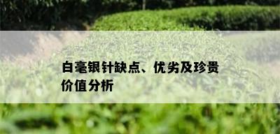 白毫银针缺点、优劣及珍贵价值分析