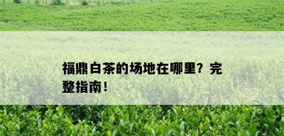 福鼎白茶的场地在哪里？完整指南！