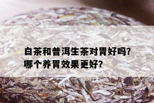 白茶和普洱生茶对胃好吗？哪个养胃效果更好？