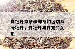 白牡丹白茶和绿茶的区别及绿牡丹，白牡丹与白茶的关系