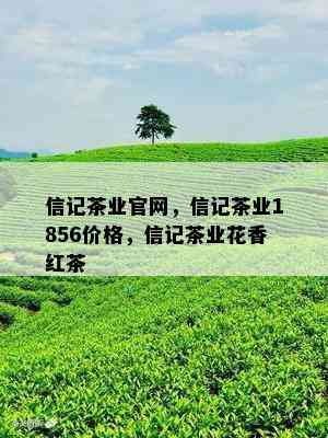 信记茶业官网，信记茶业1856价格，信记茶业花香红茶