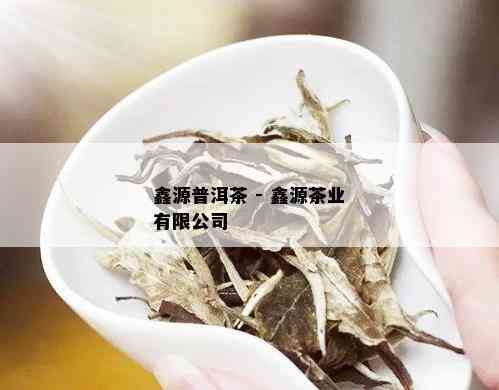 鑫源普洱茶 - 鑫源茶业有限公司