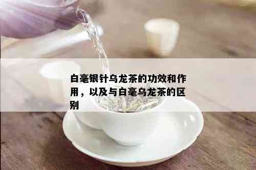 白毫银针乌龙茶的功效和作用，以及与白毫乌龙茶的区别