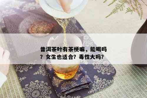 普洱茶叶有茶梗嘛，能喝吗？女生也适合？性大吗？